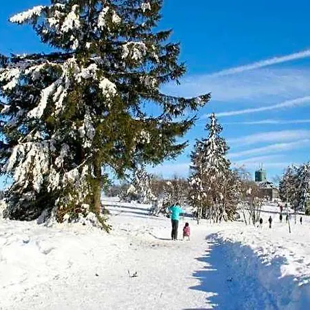 Hotel Nahe Willingen Und Winterberg 4*