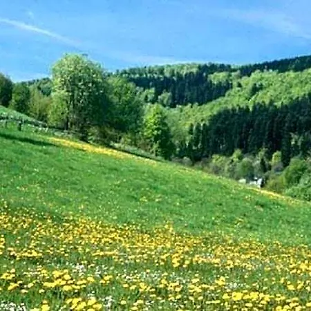 Hotel Nahe Willingen Und Winterberg Olsberg